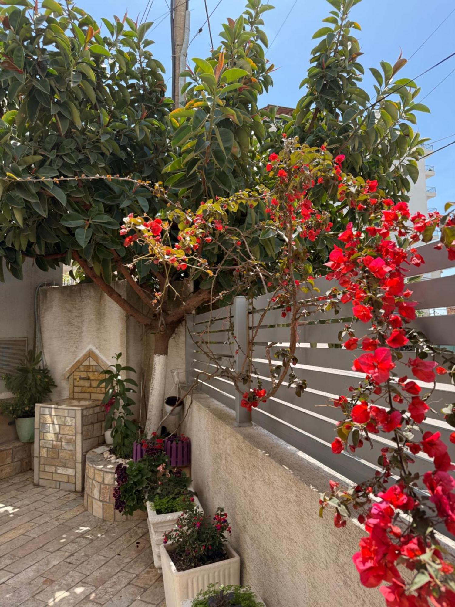 Apartments&Studios ARDIAN-MANDI Sarandë Exterior foto